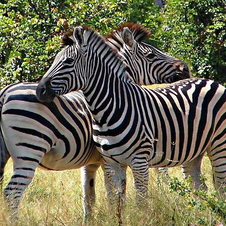 Kwalape Safari Lodge Kasane Luaran gambar